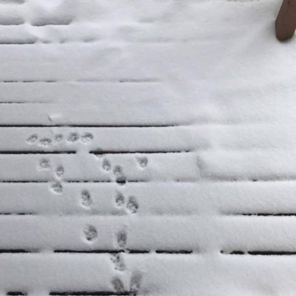 Жуткие фото (37 фото)