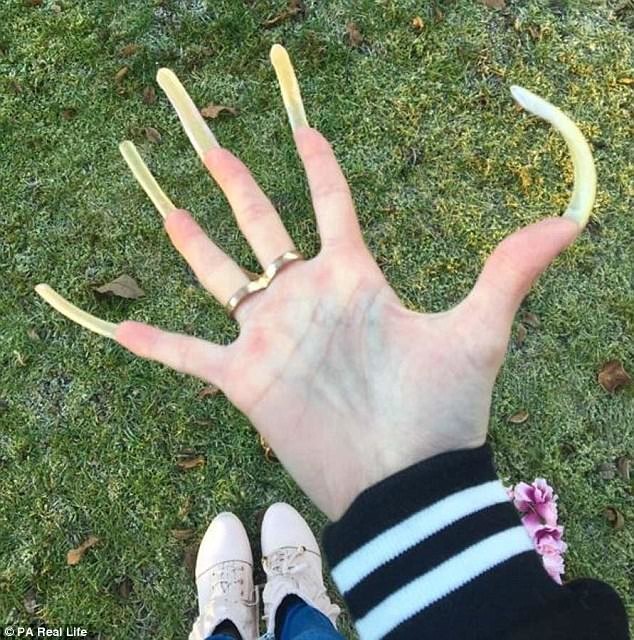 Как выглядят ногти, которые не стригли 3 года (15 фото)