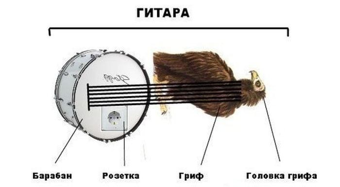 Подборка прикольных фото  (102 фото)