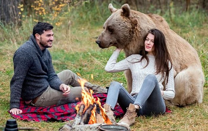 Фотосессия с медведем в лесу (6 фото)
