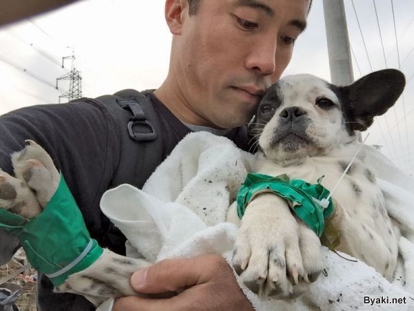 Смелый парень спасает животных от любителей собачьего мяса (7 фото)