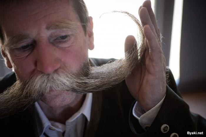 Конкурс бородачей и усачей во Франции (12 фото)