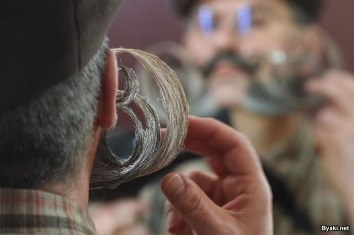 Конкурс бородачей и усачей во Франции (12 фото)