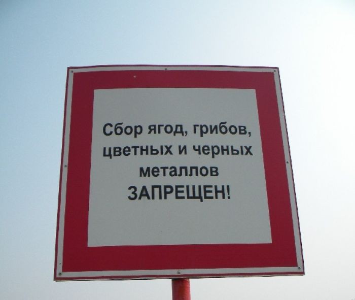 Креативные российские запреты (26 фото)
