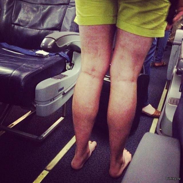Самые отвратительные пассажиры самолетов (27 фото)