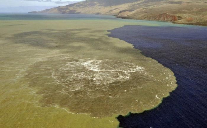 Подводное извержение вулкана на Канарский островах (10 фото)