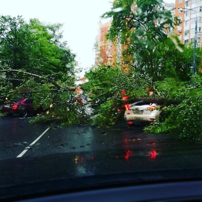 На Москву обрушился ураган (18 фото)