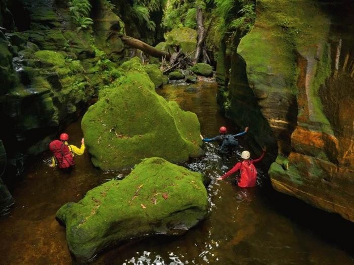 Лучшие фотографии National Geographic (29 фото)