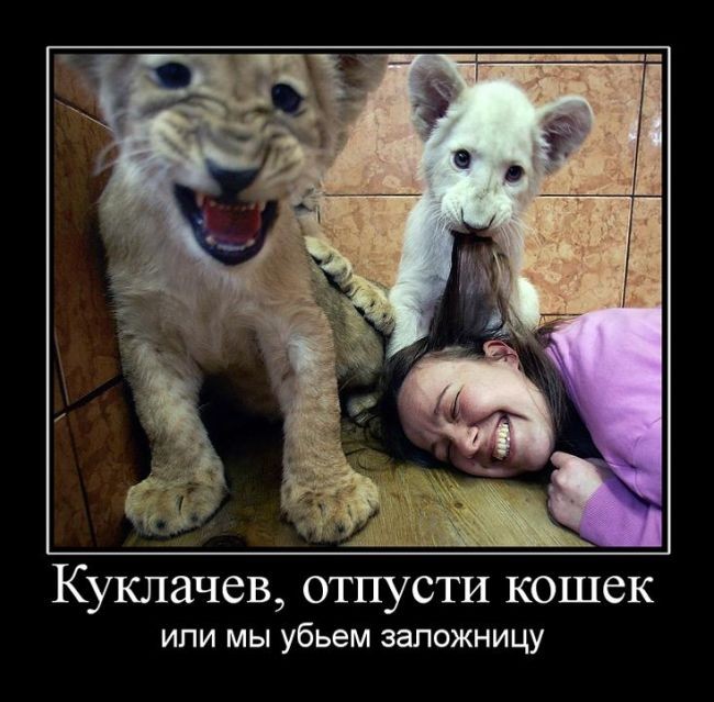 Демотиваторы (30 фото)