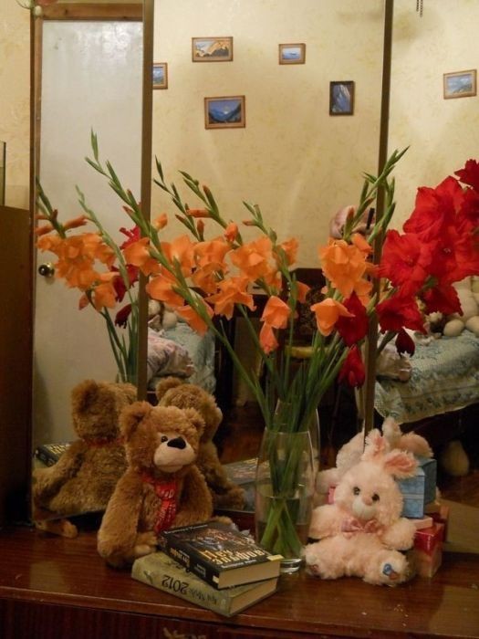 Найди кота на фото (48 фото)