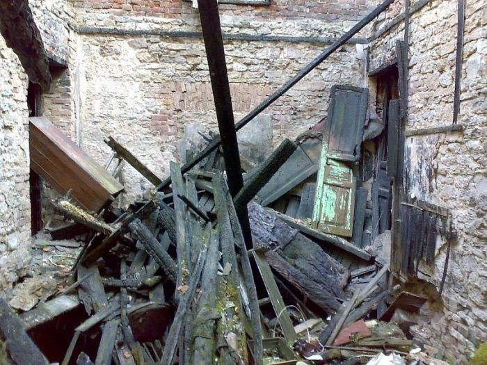 Найди кота на фото (48 фото)