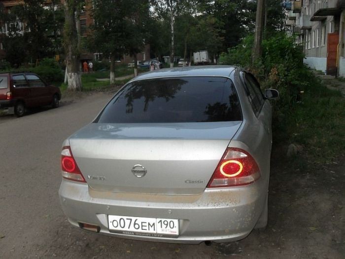 Найди кота на фото (48 фото)