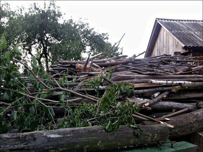 Найди кота на фото (48 фото)