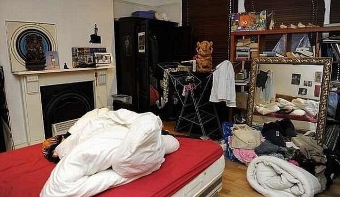 Найди кота на фото (48 фото)