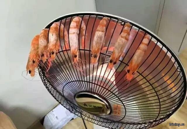 Креативный способ приготовления жареных креветок (4 фото)