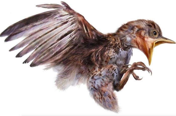 В янтаре обнаружили древнюю птицу, жившую 99 миллионов лет назад (6 фото)