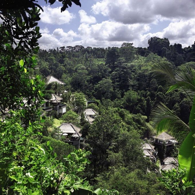 Отель Ubud Hanging Gardens на Бали (13 фото)