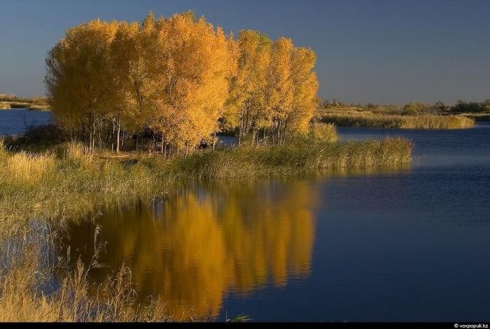 Красота по-казахстански (25 фото)