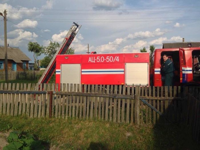 Белорусские спасатели вернули в гнездо выпавшего аиста (7 фото)