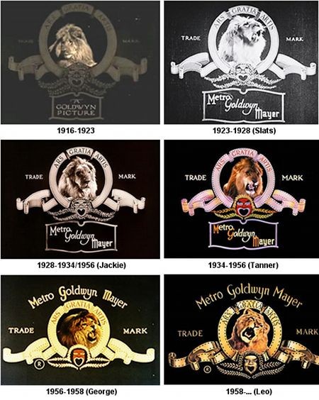 История льва из легендарной заставки Metro-Goldwyn-Mayer (4 фото)
