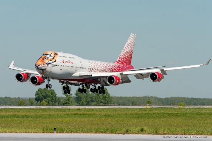 Boeing-747 в тигриной ливрее (20 фото)