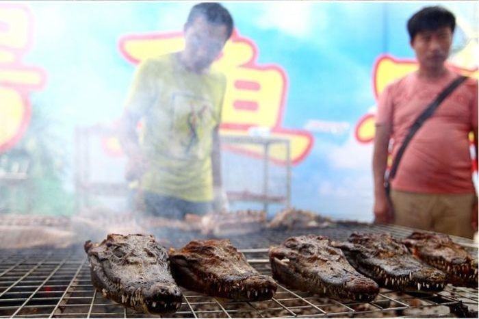 Крокодилы-гриль - одно из китайских блюд для гурманов (4 фото)