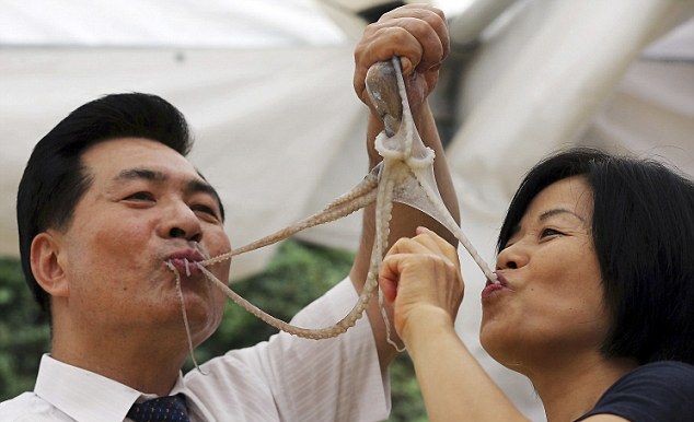 Южнокорейские гурманы насладились живыми осьминогами (7 фото)