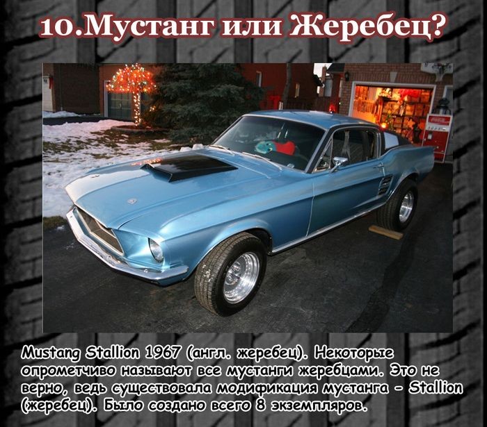 Интересно о мускул карах (11 фото)