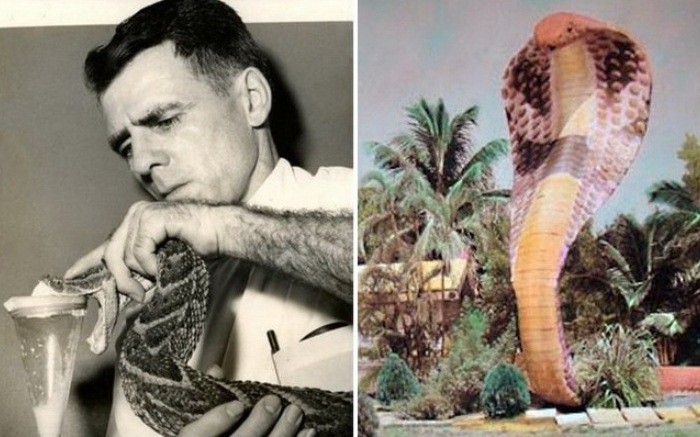 История жизни американца, перенесшего более 170 укусов змей (9 фото)
