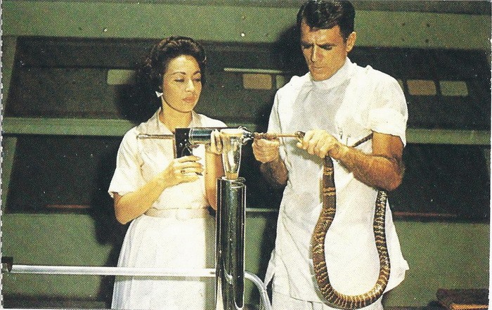 История жизни американца, перенесшего более 170 укусов змей (9 фото)