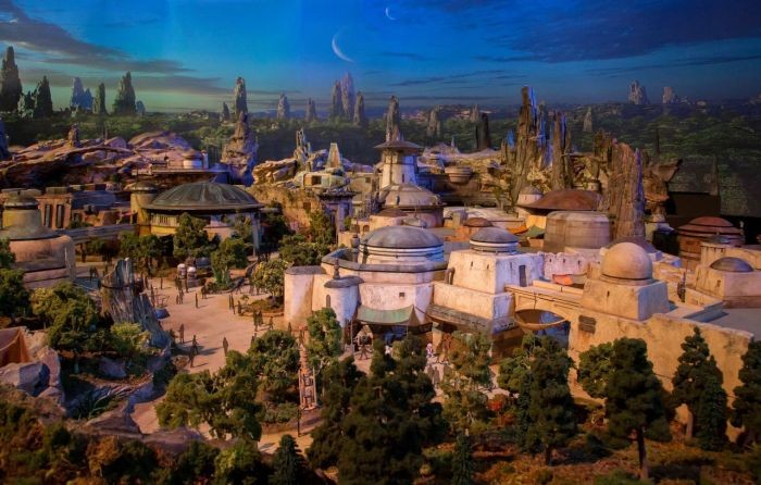   Star Wars Land   Disney (6 )