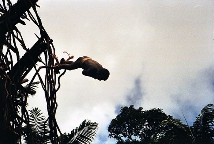 Аборигены острова Вануату ныряют в землю (18 фото)