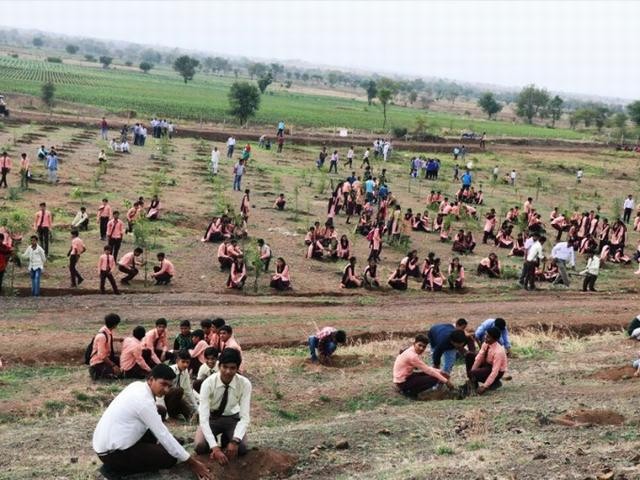 Мировой рекорд: в Индии за 12 часов посадили 66 млн деревьев (4 фото)