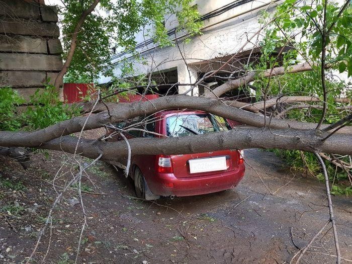 Карма настигла автоледи (2 фото)