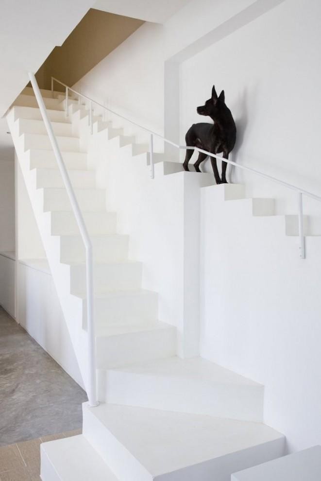 Самые необычные дизайнерские лестницы (16 фото)