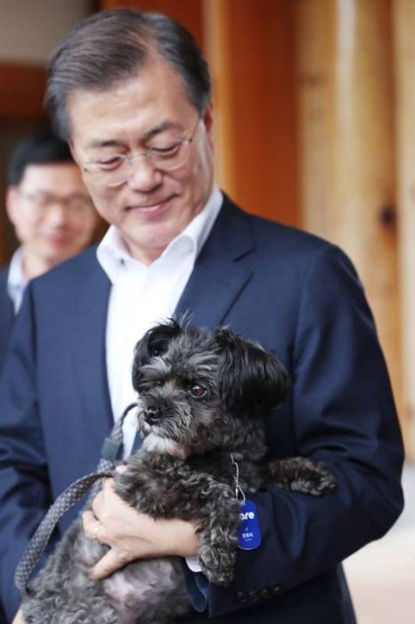 Президент Южной Кореи Мун Чжэ Ин забрал собаку из приюта (5 фото)
