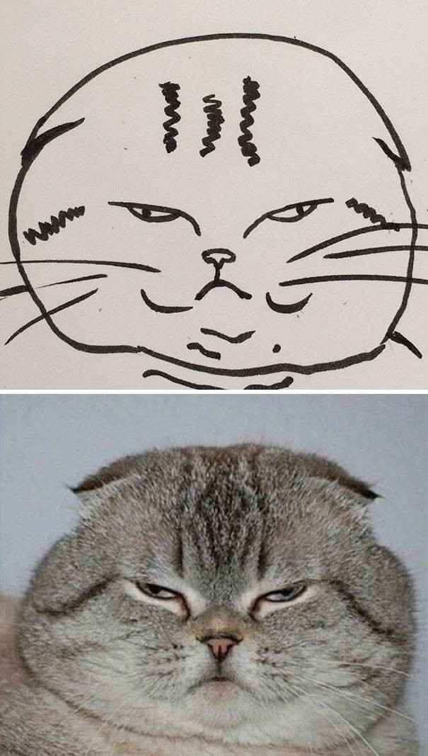 Прикольные рисунки котов (20 фото)