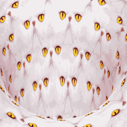 Подборка прикольных гифок