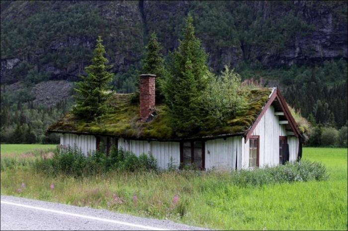 Норвежские крыши (12 фото)