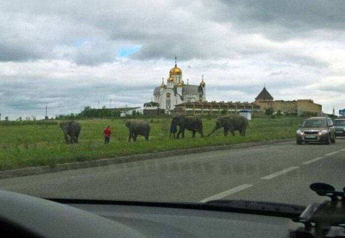 Фото, которые возможно было сделать только в России (35 фото)