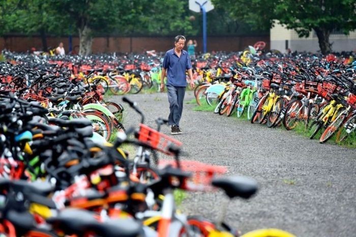 Десятки тысяч брошенных велосипедов в Китае (3 фото)