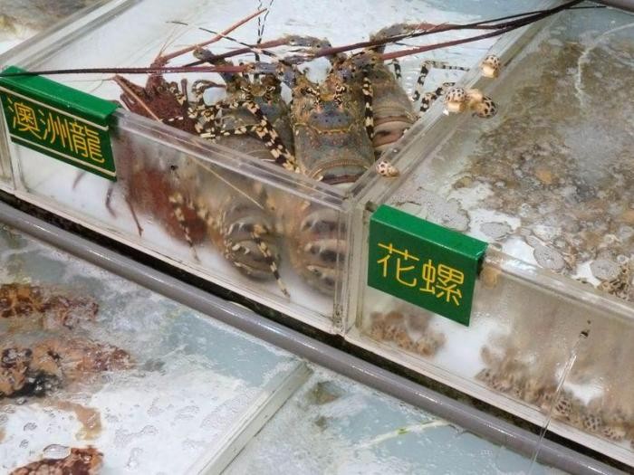 Что такое китайская кухня (27 фото)