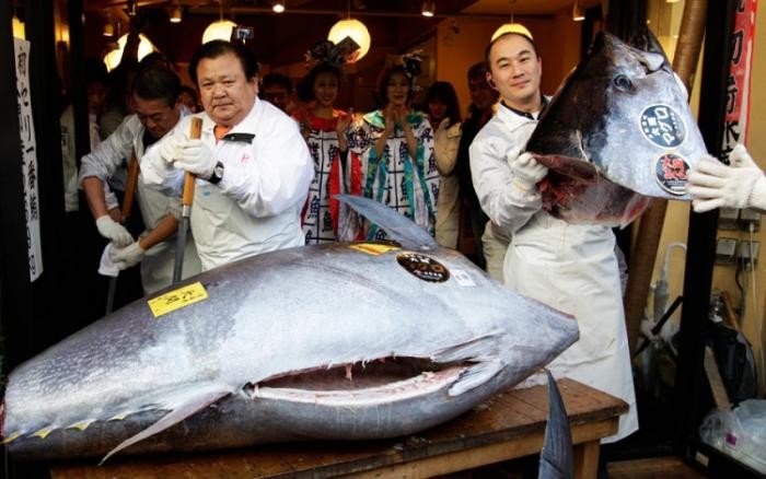 Рыбный рынок в Японии (9 фото)