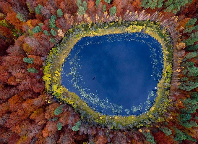 Яркие цвета осени (11 фото)