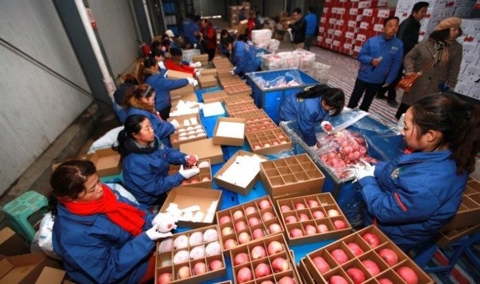 Как AliExpress делает китайских крестьян миллионерами (10 фото)