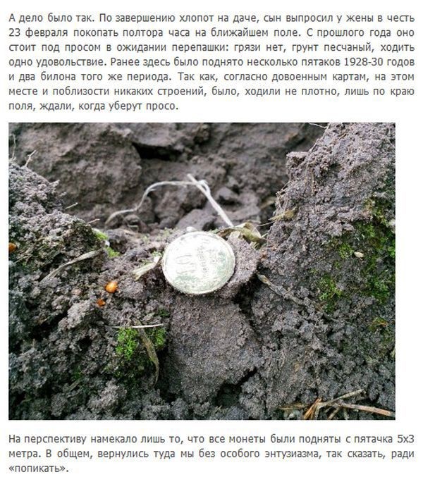 История клада, найденного на пахотном поле (12 фото)