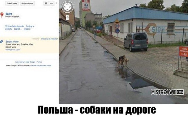 Неожиданные моменты, запечатленные на Google Street View (16 фото)