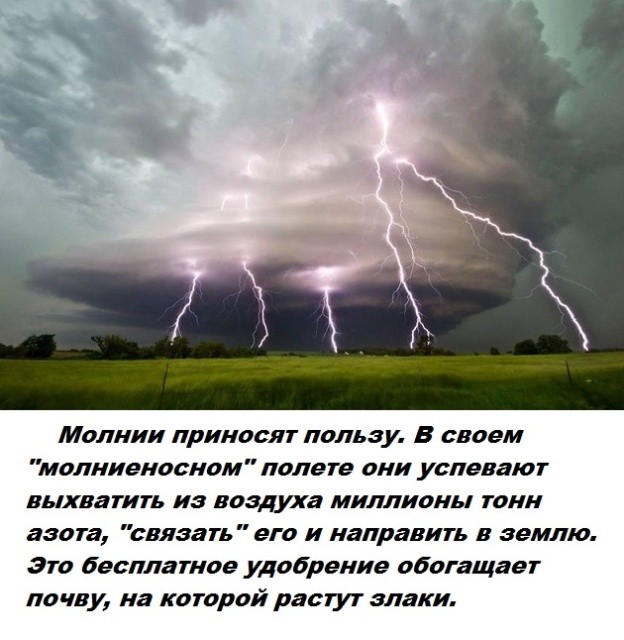 Бесполезные факты обо всем на свете (27 фото)