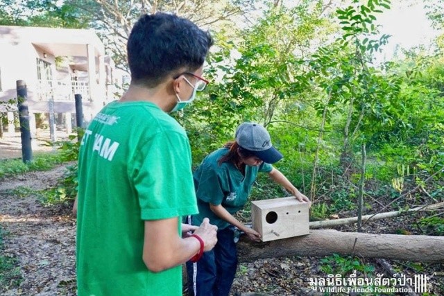 Фермер из Таиланда обнаружил двух маленьких сов, которым требовалась помощь (14 фото)