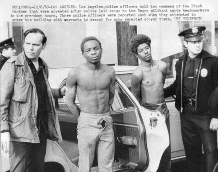 История настоящей "черной пантеры" и улицы политые кровью полиции США (22 фото)